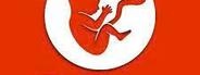 Bitlife Free