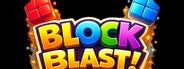 Block Blast Solver