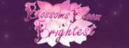 Blossoms Bloom Brightest