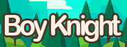 Boy Knight