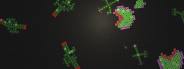 Cell Tune