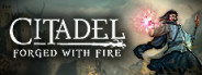 Citadel: Forged With Fire