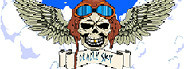 Deadly Sky