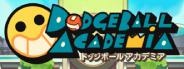 Dodgeball Academia