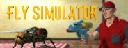 Fly Simulator