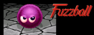 Fuzzball