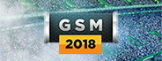 Global Soccer: A Management Game 2018