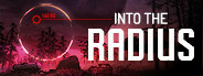 Into the Radius VR