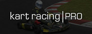 Kart Racing Pro