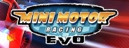 Mini Motor Racing EVO