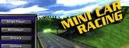 Minicar Racing