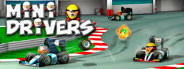 MiniDrivers