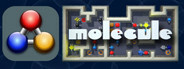 Molecule - a chemical challenge