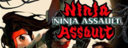 Ninja Assault