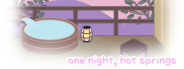 one night, hot springs