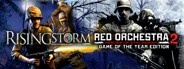 Rising Storm Beta