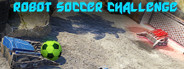 Robot Soccer Challenge