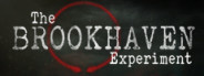 The Brookhaven Experiment