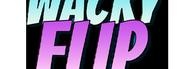 Wacky Game