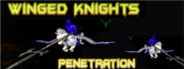 Winged Knights: Penetration