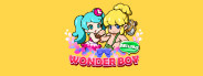 Wonder Boy Returns