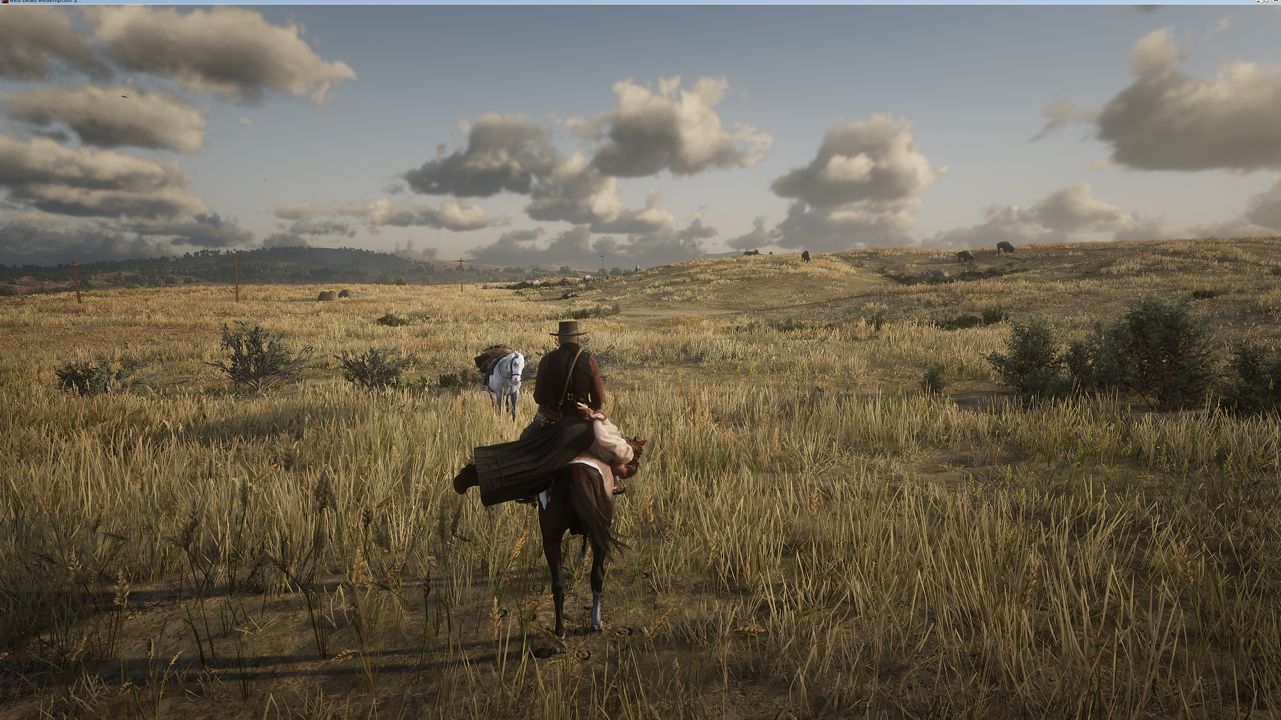 ProtonDB  Game Details for Red Dead Online