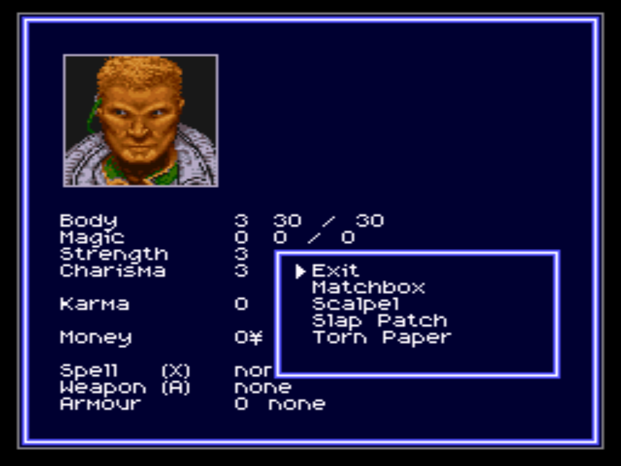 Shadowrun (SNES), Shadowrun Wiki